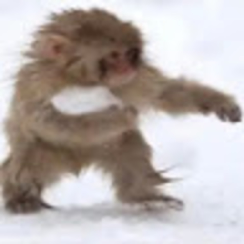 Meet your Posher, Ape